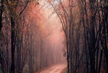 比赛闪光:球员们的精彩表现令人拍案叫绝!