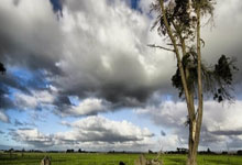 比赛闪光:球员们的精彩表现令人拍案叫绝!